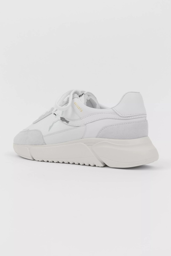 Genesis şerit Arı Kuş Beyaz Axel Arigato